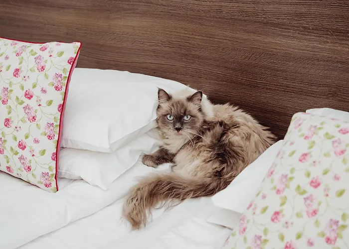 Buczynski Medical & Hotel